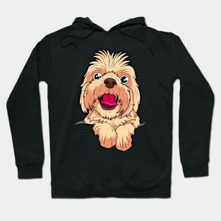 Cute Yorkshire Terrier Face Hoodie